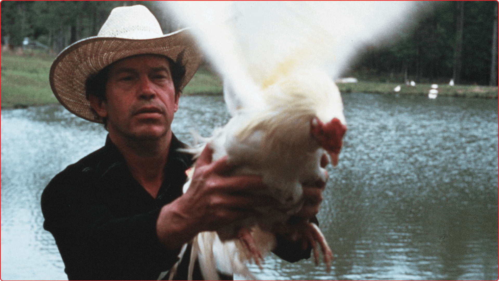 cockfighter