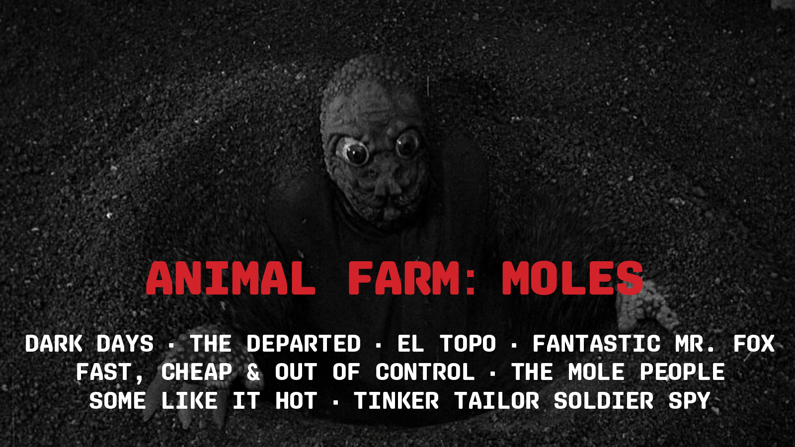 animalfarmmoles3